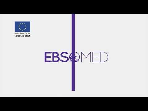 Embedded thumbnail for BUSINESSMED Online BSO Management Academy - The Upskilling Imperative: Vocational Training and the New Offer of BSOs’ Services